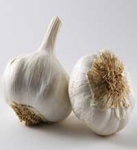 Garlic good for Psoriasis